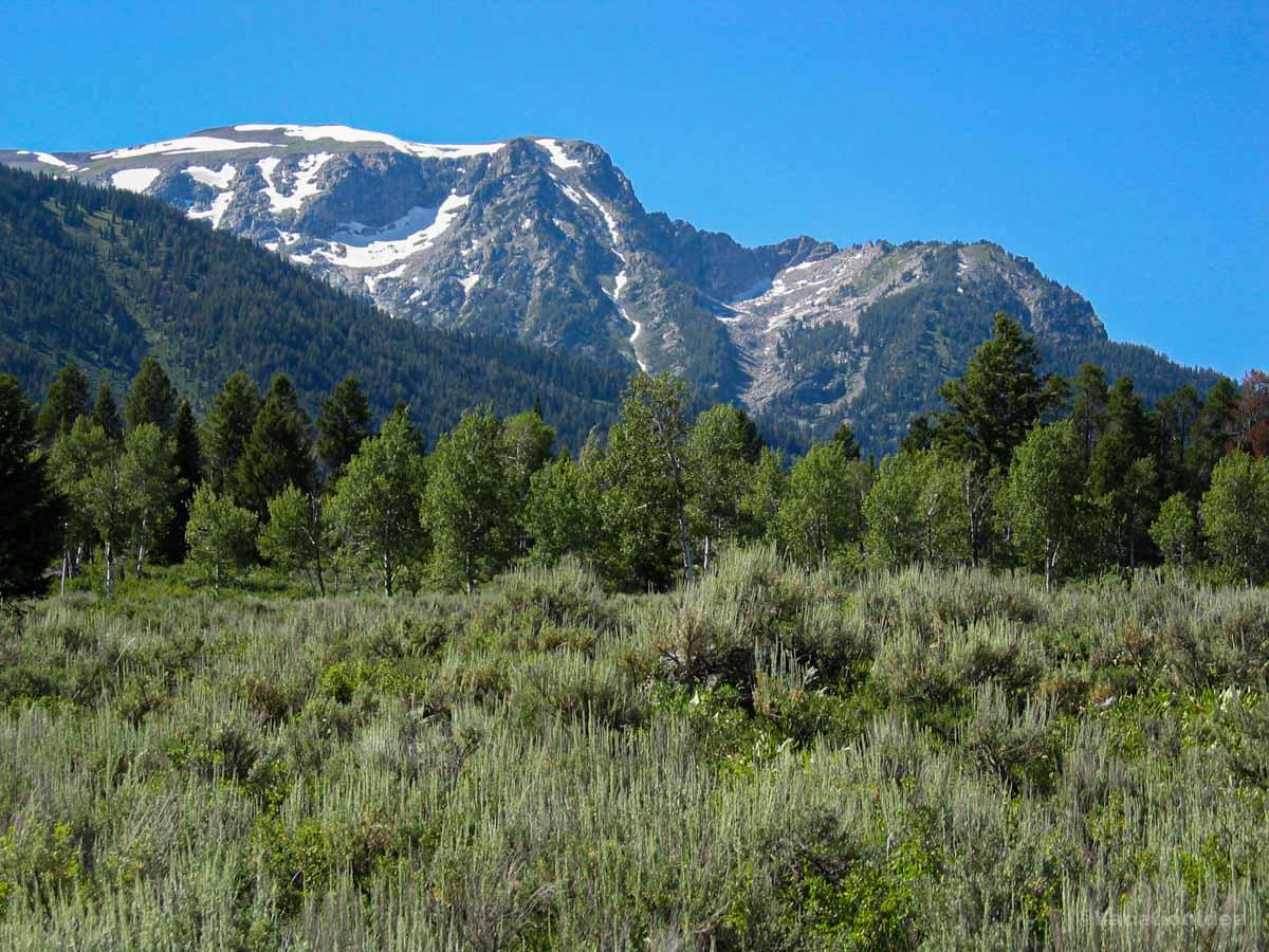 I took this scenic photo on our morning hike in Jackson Hole