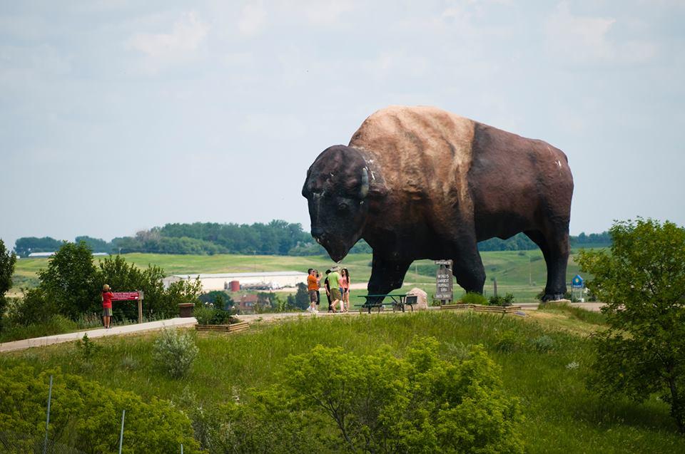 Enjoy wildlife watching in Jamestown