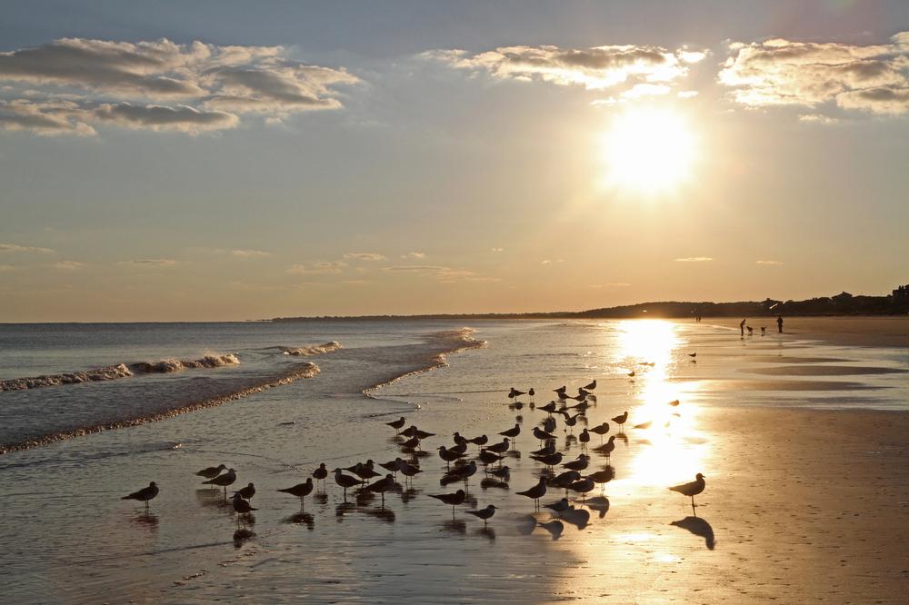 Kiawah Island’s Tides & Tucked-Away Stillness