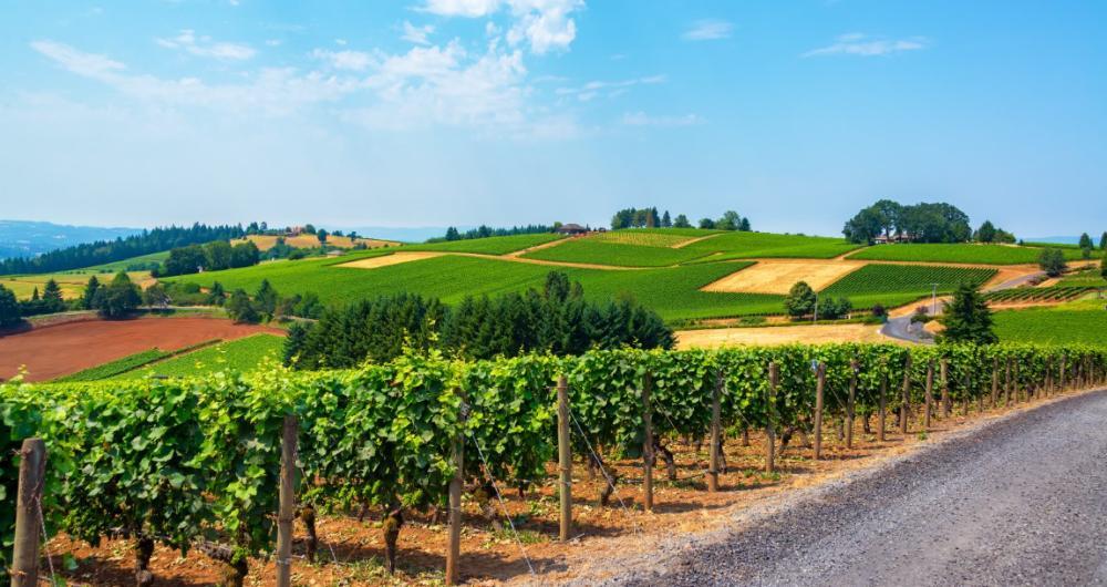 Newberg Notes & Hillside Quiet