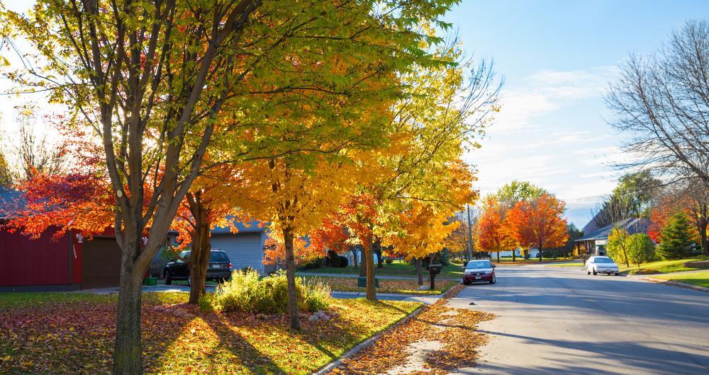 St. Cloud, Minnesota: Gardens, Riverwalk & Subtle Stories