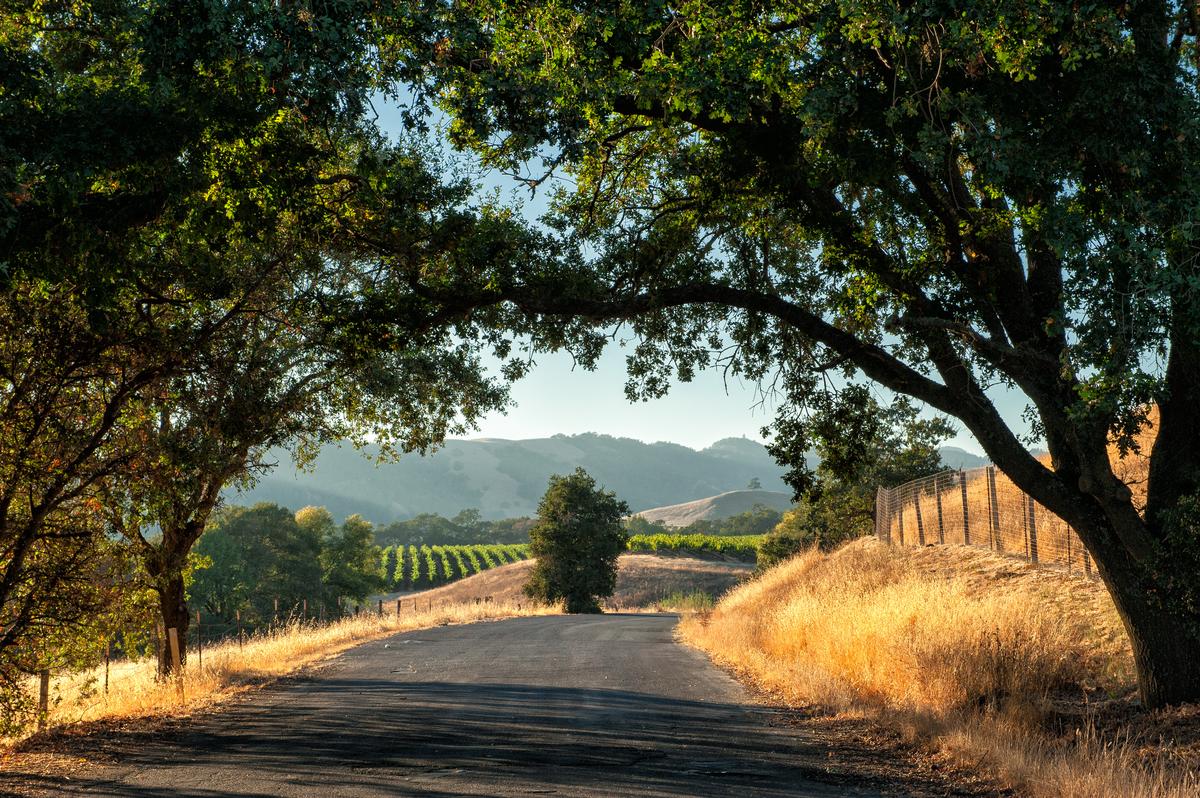 Sip fine wine and admire vineyard views on a couples retreat.