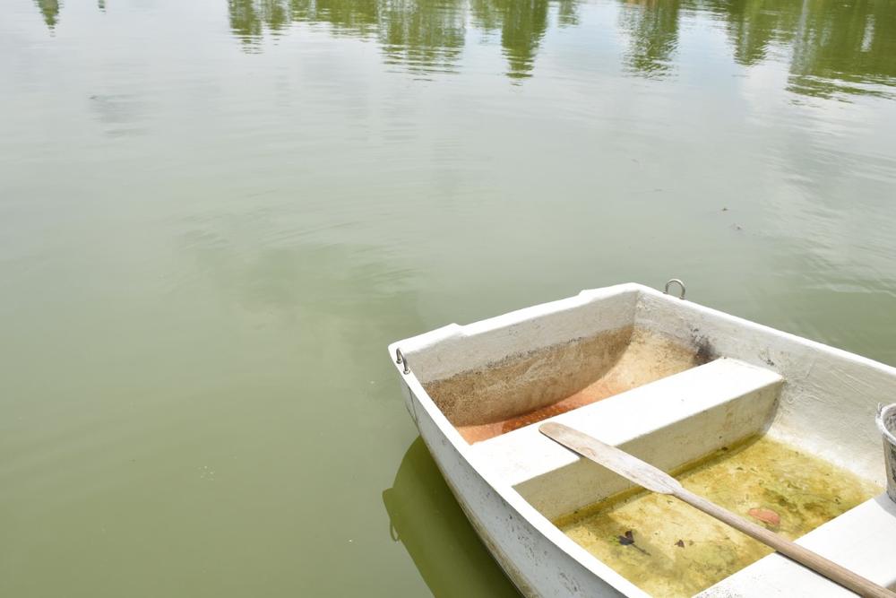 Visit a historic university town, explore scenic countryside roads, and discover lively fairs.