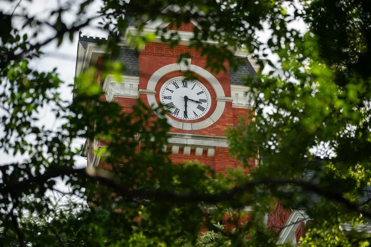 Brick Walks and Southern Ease in Auburn, Alabama