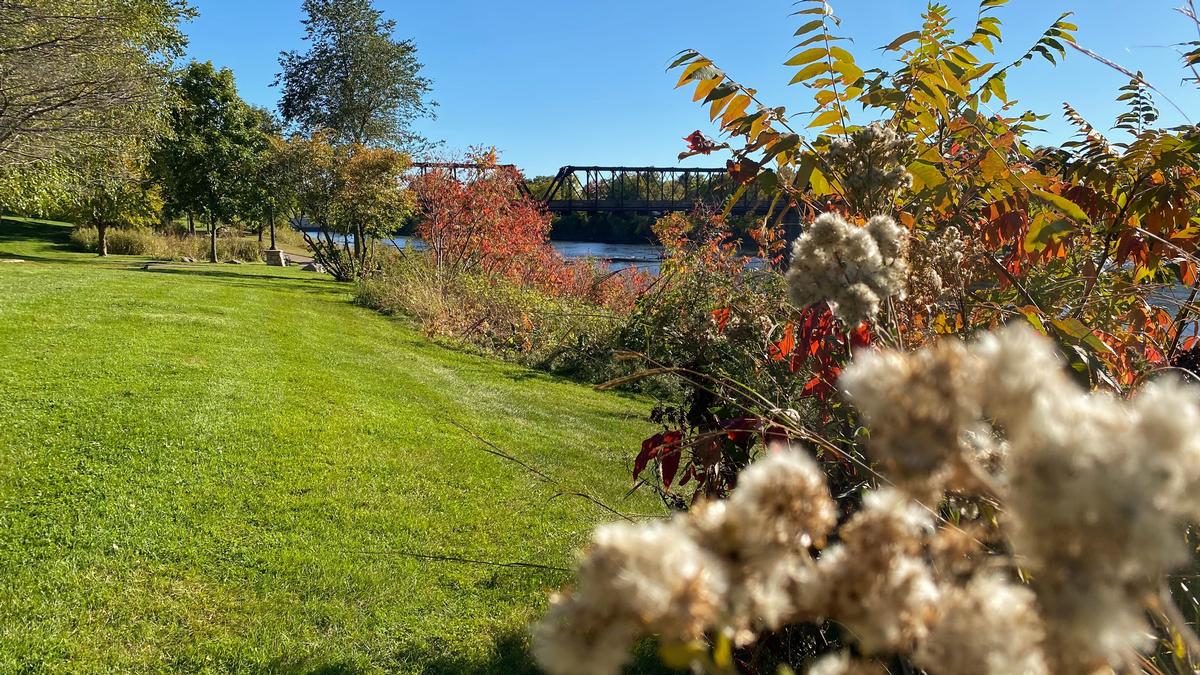 Explore local art and listen to live music on an exciting weekend.