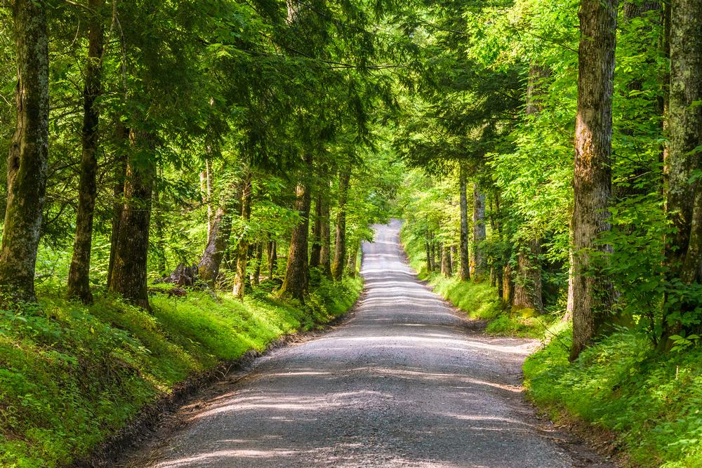 Hike Through Misty Wonderlands in Great Smoky Mountains National Park, Tennessee