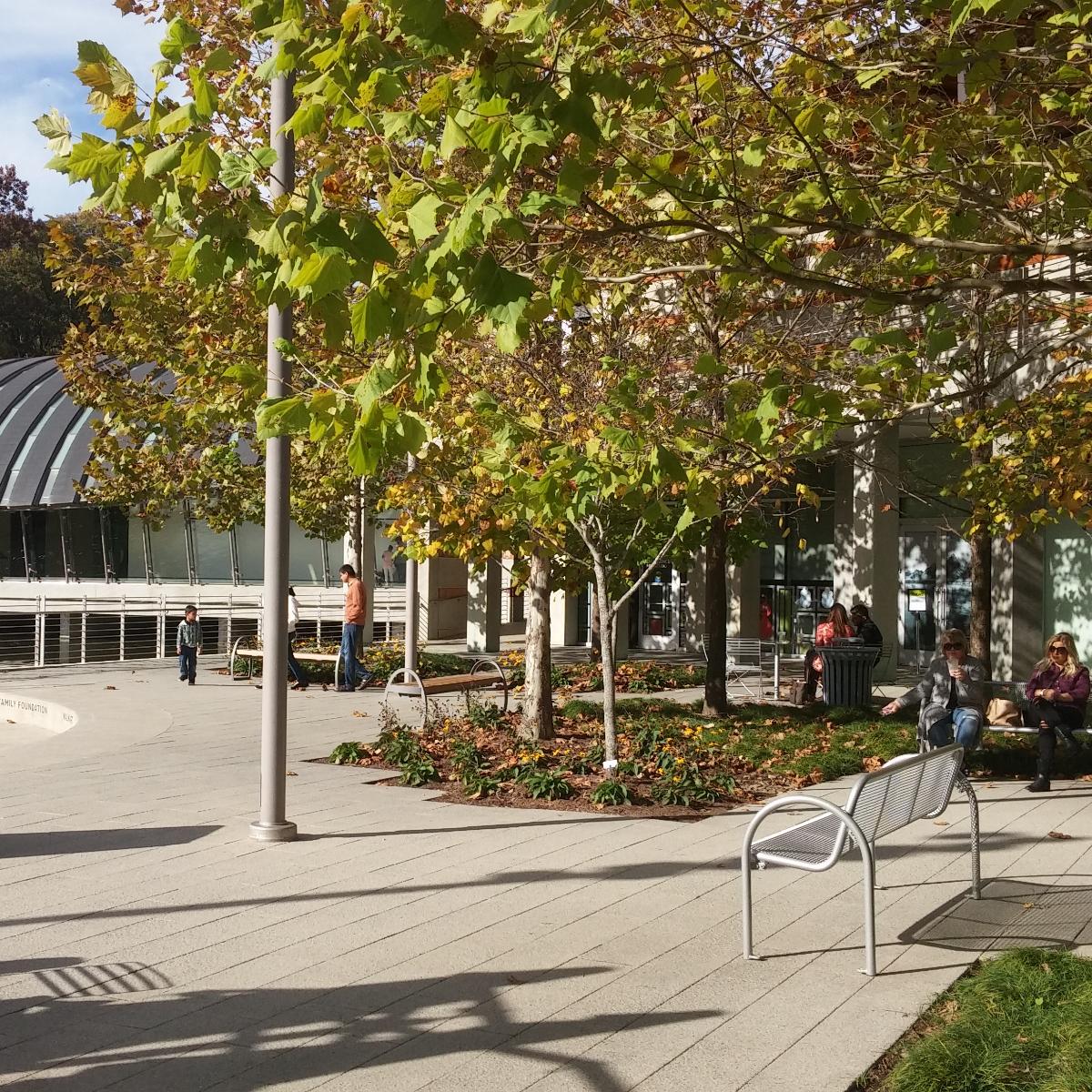 A stroll through the park in Bentonville