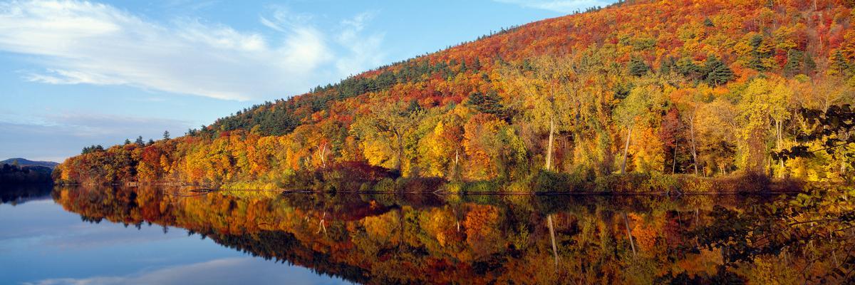 Brattleboro Books & River Light