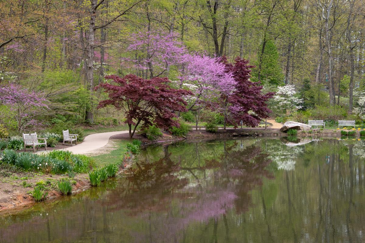 Edith J. Carrier Arboretum, James Madison University, Harrisonburg