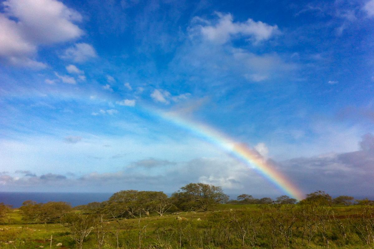 I took this photo of a rainbow while driving to Hilo