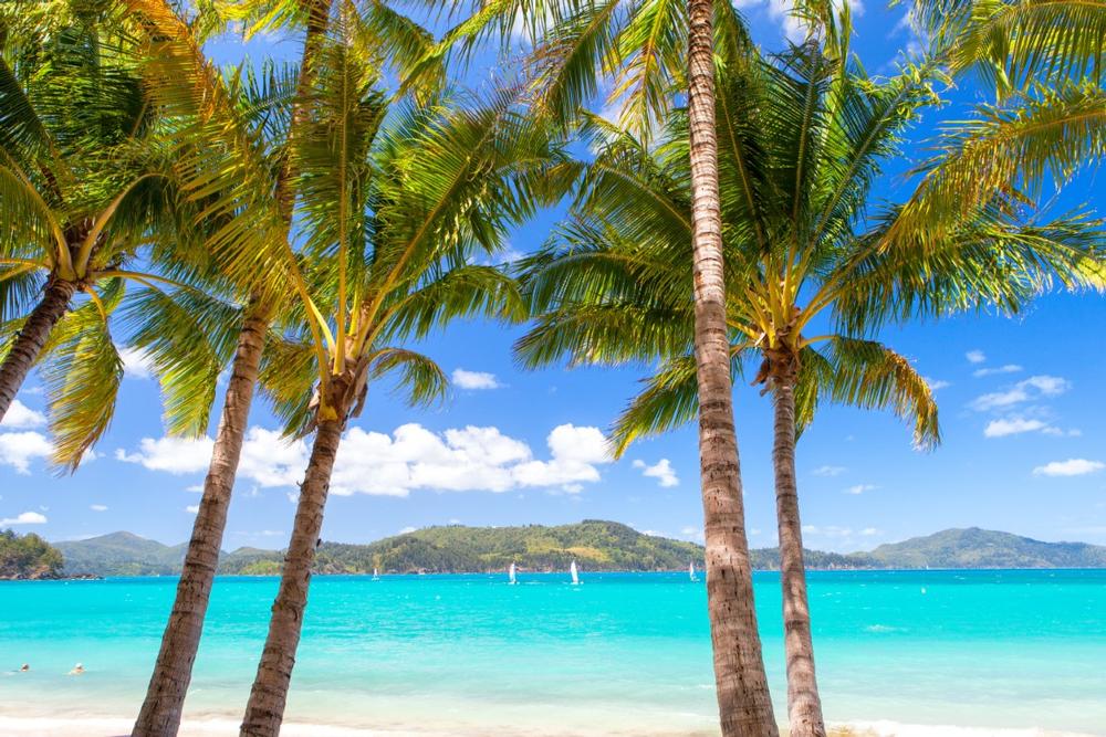 Find it All on Hamilton Island