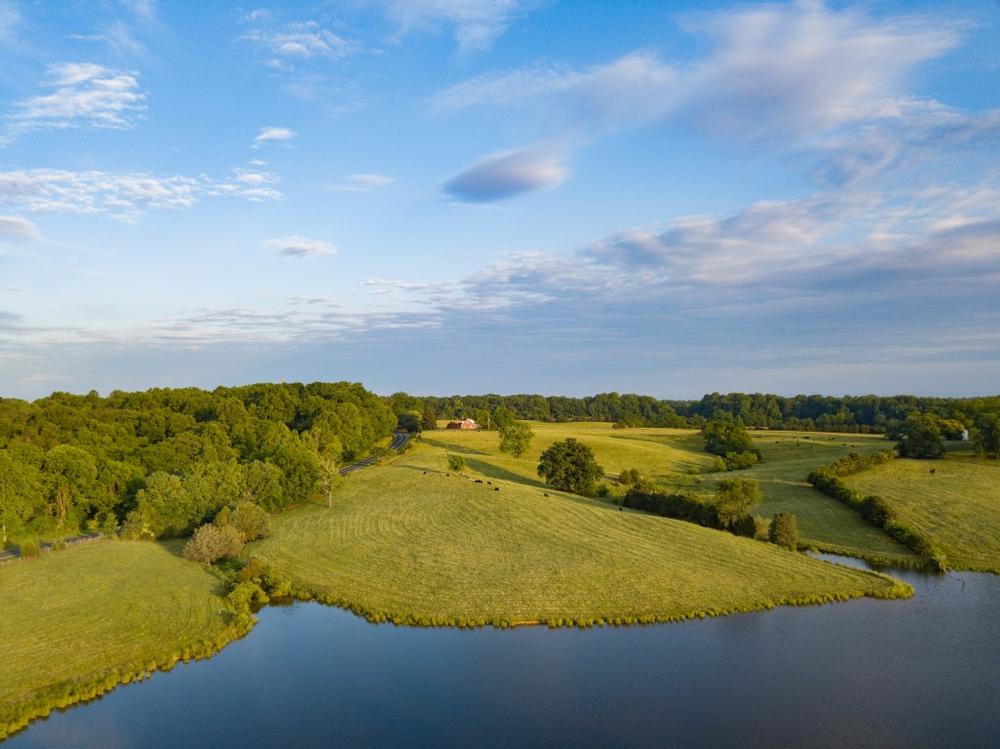 Swim in clear waters and picnic lakeside on a sunny kids day out.