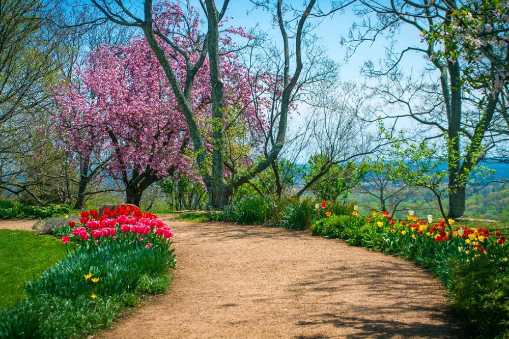 Tour Jefferson’s Monticello and explore vineyards on a scenic weekend day trip.