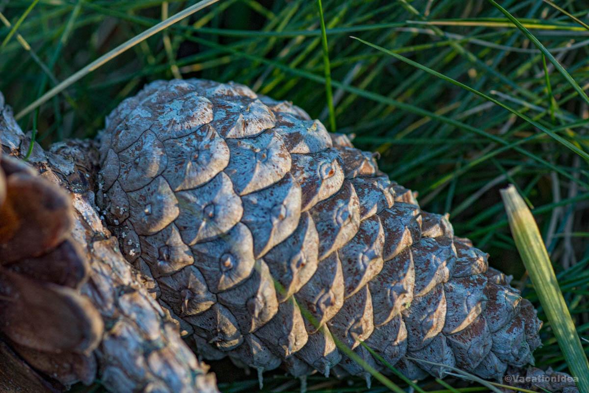 I took this photo along a hiking trail in RI