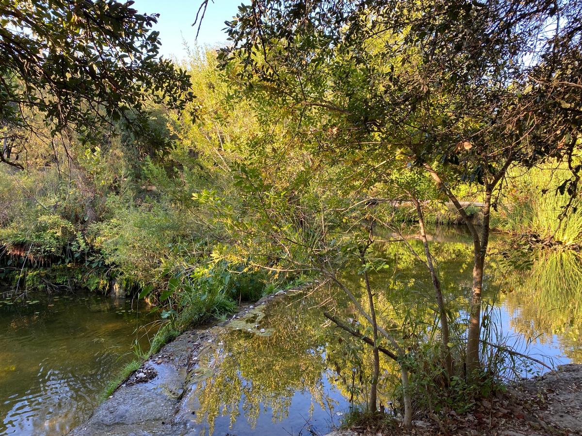 My photo while exploring Salem Lake Regional Park, Asheboro