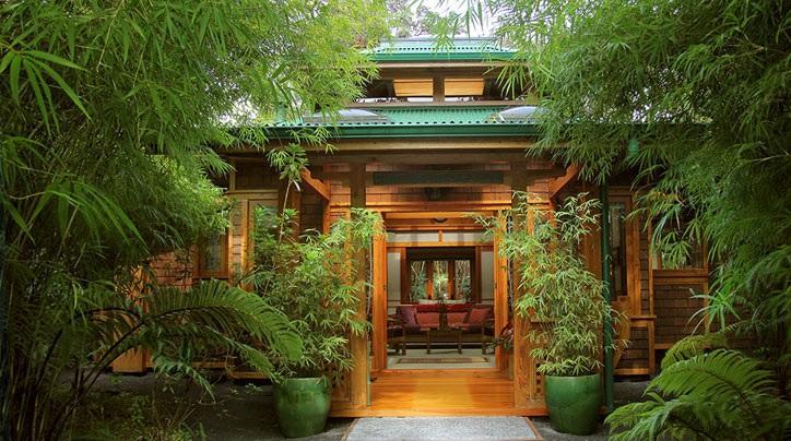 Volcano Rainforest Retreat Bed & Breakfast