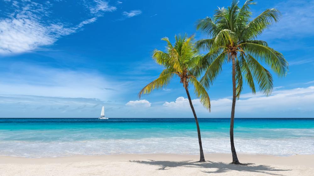 Dive Into Island Energy and Sunset Scenes in Key West, Florida