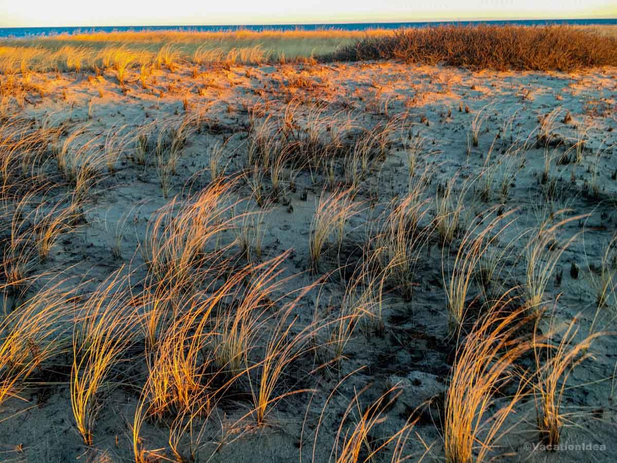 My photo of the path leading to Atlantic Ocean through sand dune grass in Watch Hill, Westerly, Rhode Island