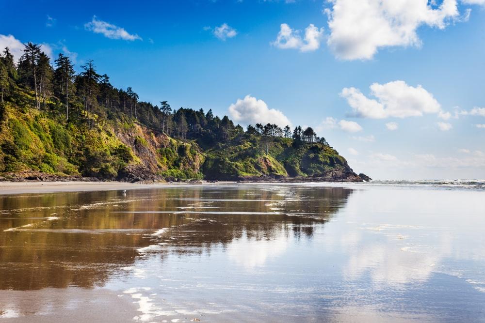 Explore Windswept Beauty and Lighthouses in Long Beach, Washington
