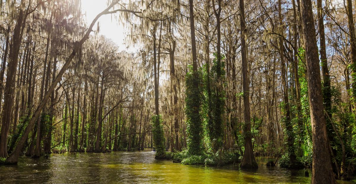 Lake Eustis, Mount Dora