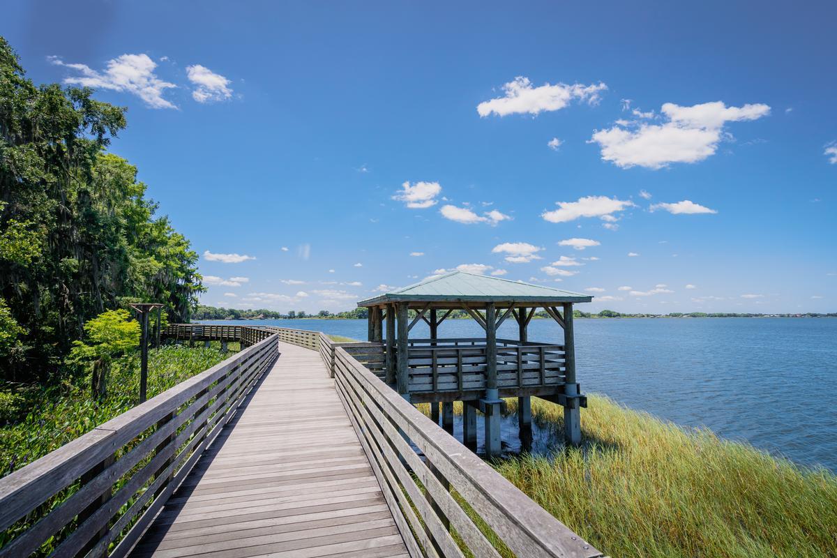 Palm Island Park a nature preserve with a boardwalk on Lake Dora in Mount Dora