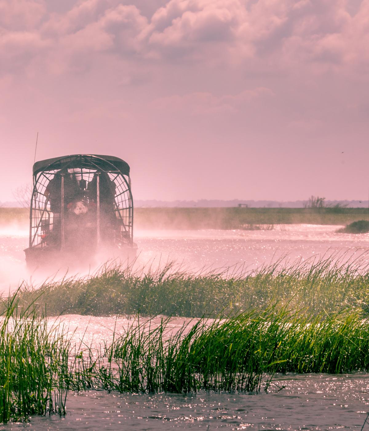 Everglades airboat ride