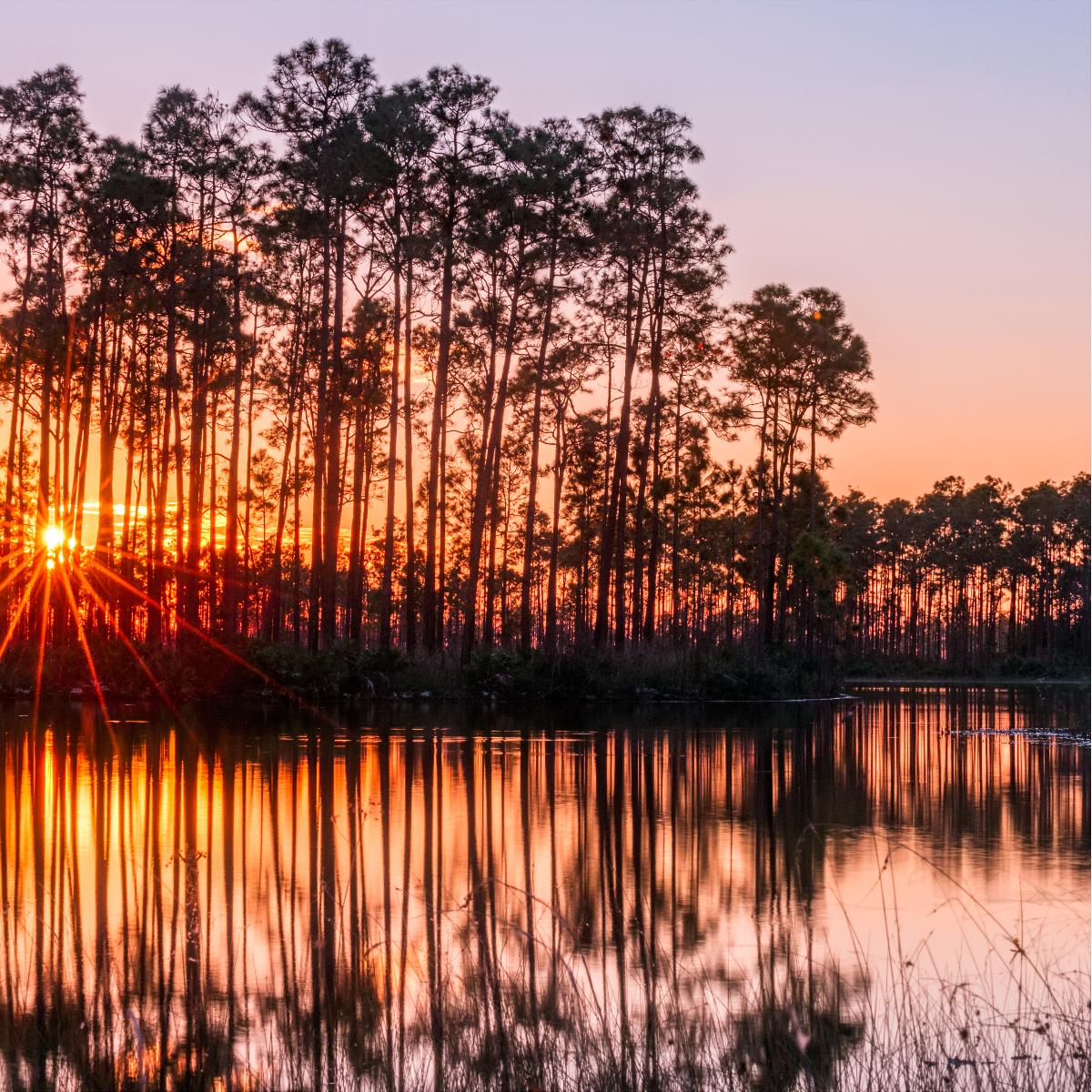 Sunset in the Everglades