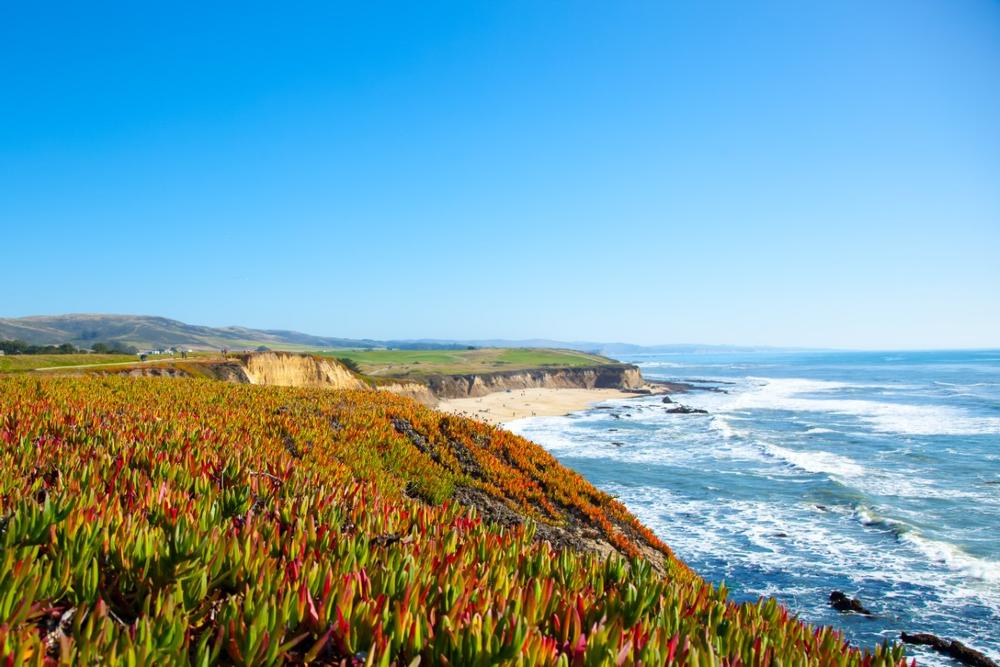 Half Moon Bay - a 50-minute drive
