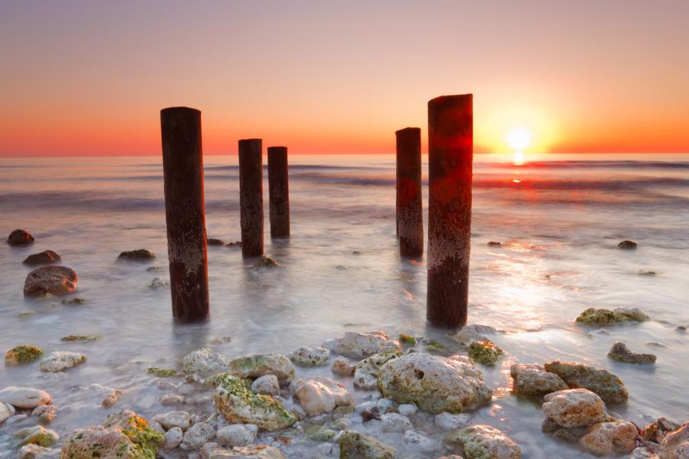 Honeymoon Island - 45 minutes from downtown Tampa, FL