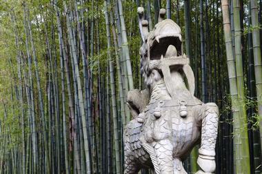 Anji Bamboo Forest