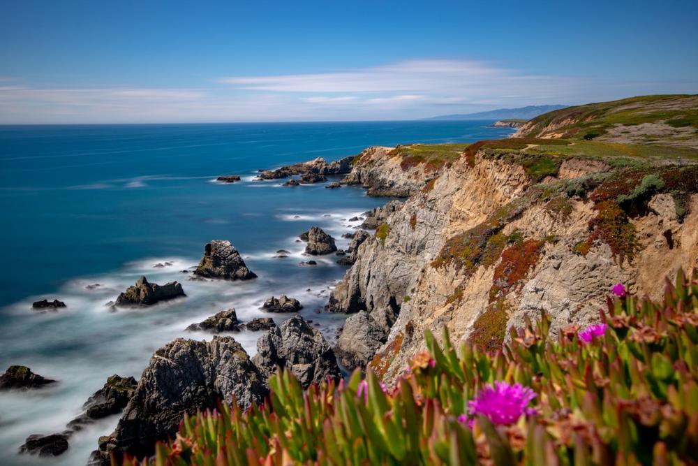 See stunning coastal cliffs or go whale-watching on a scenic boat tour.