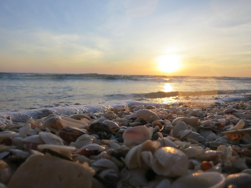 Captiva Island - 45 minutes from Fort Myers, FL