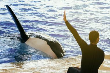 SeaWorld San Diego