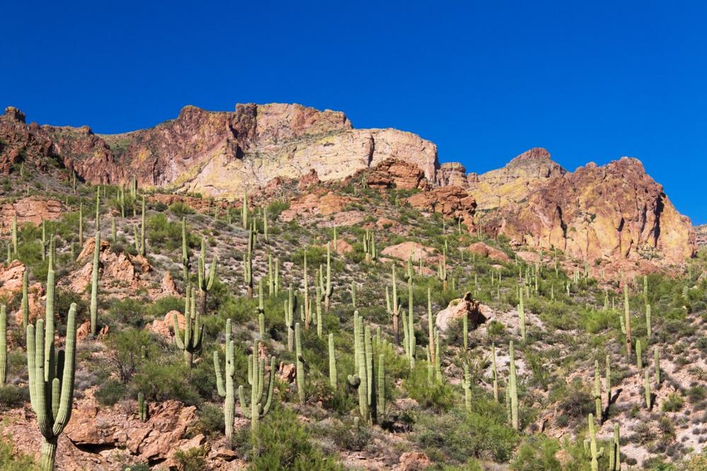Drive along a historic desert route, admire rugged landscapes, and explore hidden canyons.