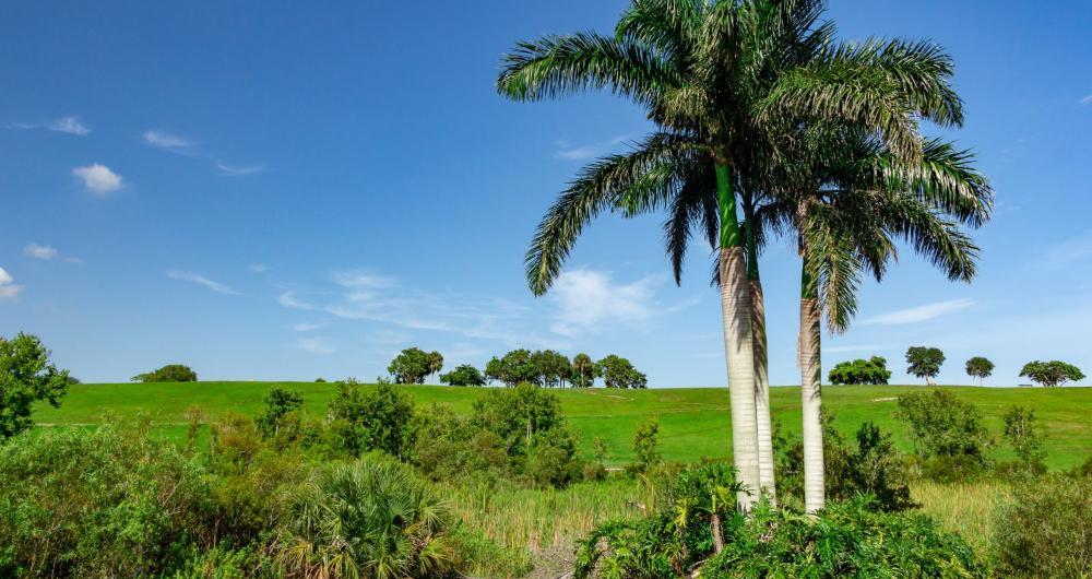 Davie: Rustic Trails & Western Echoes