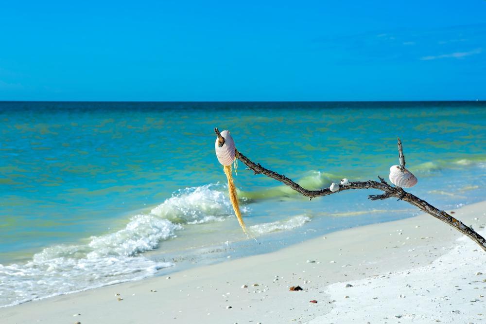 Marco Island - 40 minutes south of downtown Naples, FL