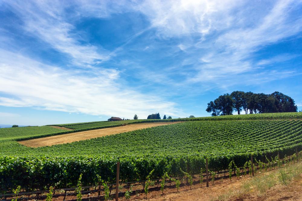 Savor local wine and explore unique shops on an affordable summer trip.