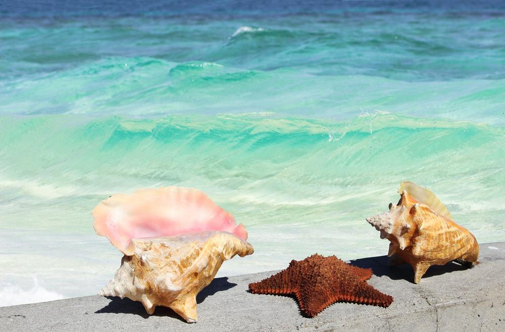 Cayo Costa - Accessible by ferry