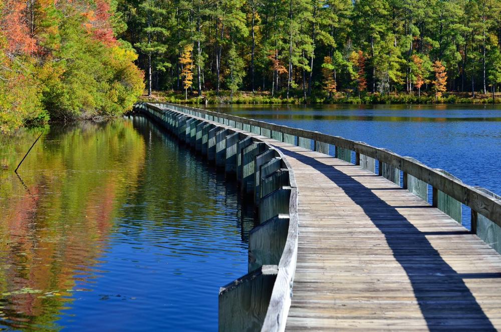 Cheraw State Park - 1 hour and 30 minutes from Columbia