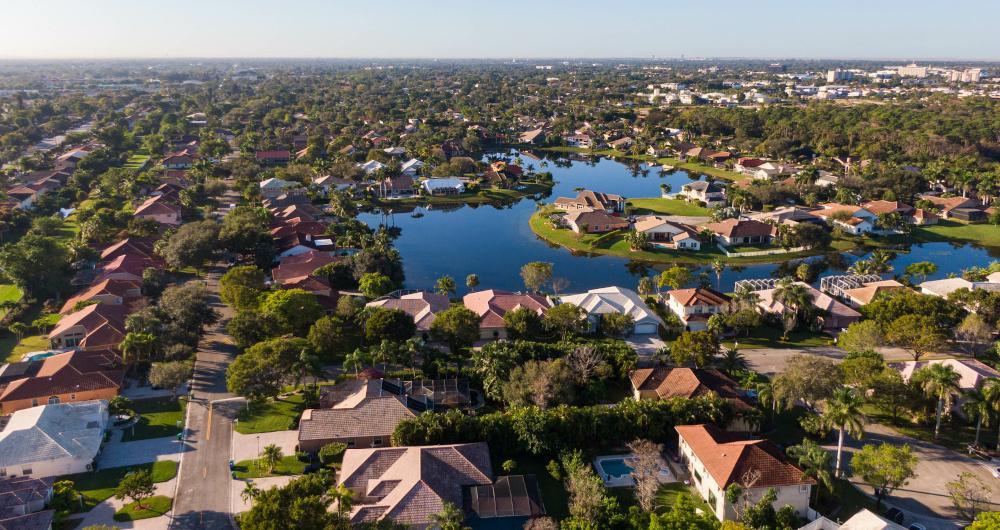 Coral Springs: Quiet Paths Beneath the Palms