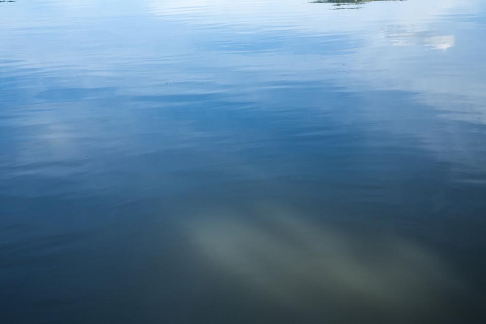 Chester State Park - 1 hour and 20 minutes from Columbia