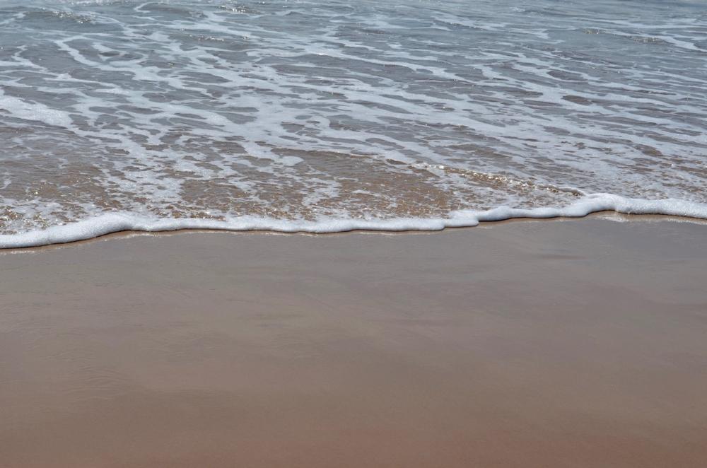 Bodega Dunes - a 2.5-hour drive from San Jose