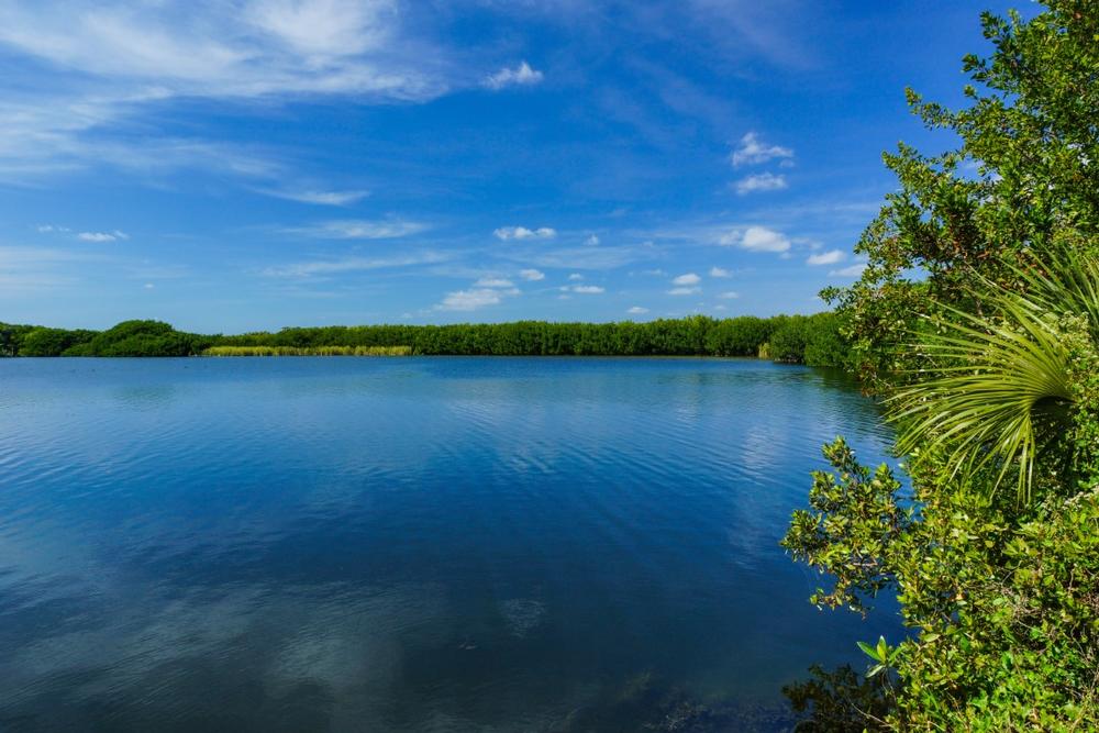 Paddle through wetlands and see rare wildlife on a fun trip with kids.