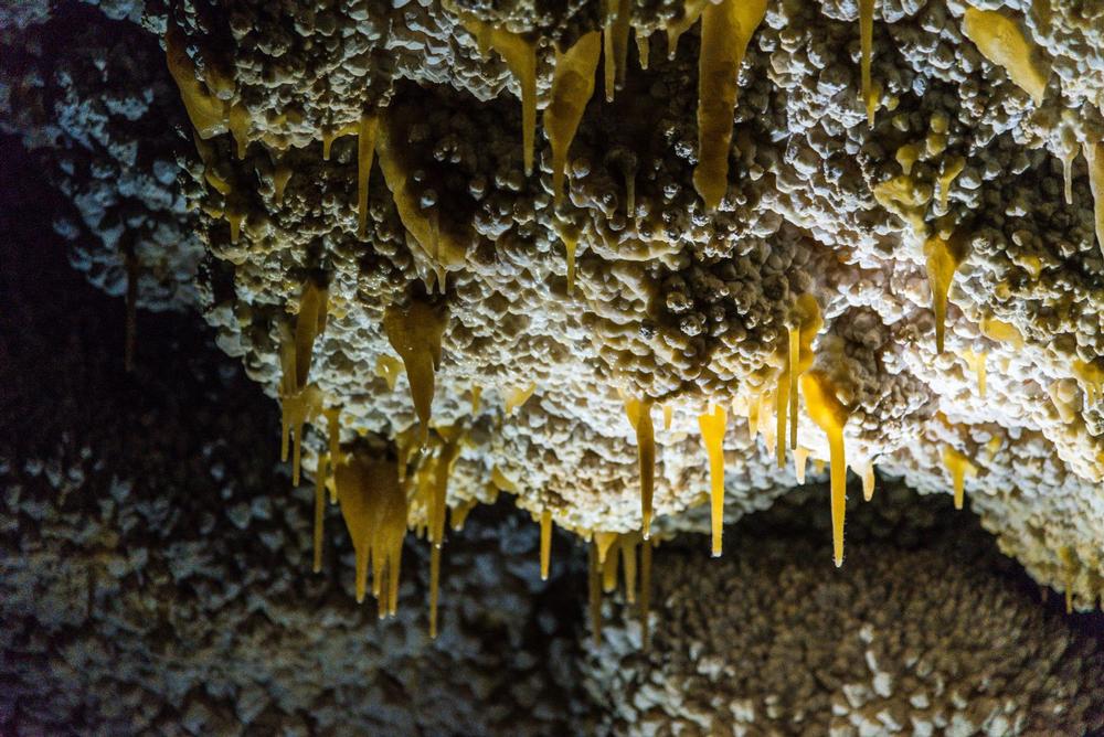 Jewel Cave National Monument - 20-minute drive from Custer