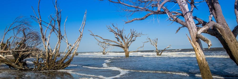 Relax on quiet beaches on Edisto Island