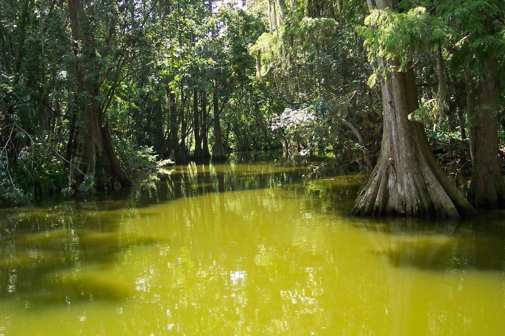 Mount Dora: Lantern Light and Lake Breezes
