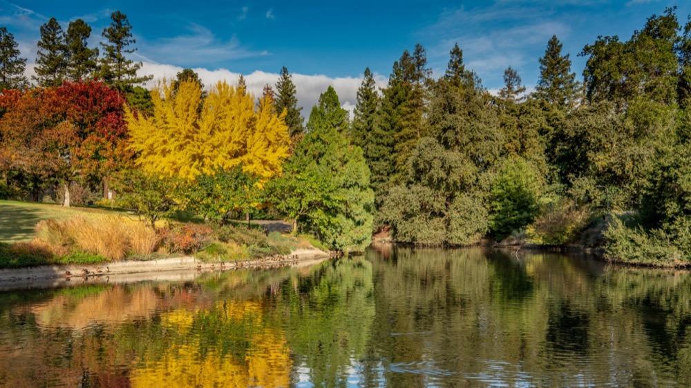 Bike on scenic greenbelt trails or visit the renowned farmers’ market.