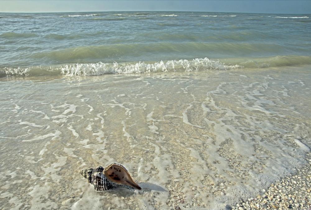 Sanibel Island - 45 minutes west of Fort Myers, FL