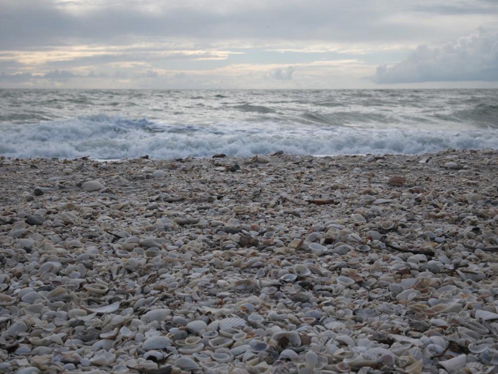 Barefoot Beach State Preserve - 40 minutes north of Naples, FL
