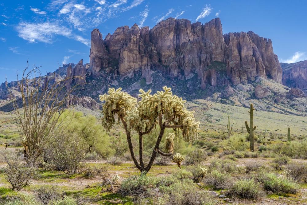 Hike rugged trails and see Superstition Mountains on a dramatic nature trip.